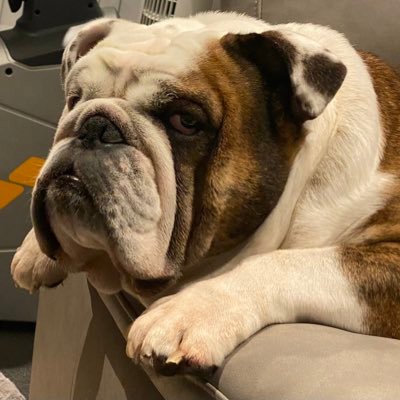 Cookie1193's profile picture. 