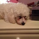 ashleywalsh - @joanna_walsh - Twitter