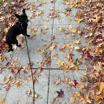 KasooC's profile picture. My hobbies include traveling and love to do new things.