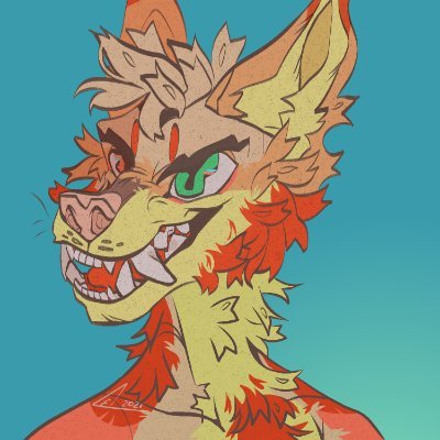 Ridgeさんのプロフィール画像