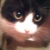 e (@eicratic) Twitter profile photo e (@eicratic) Twitter profile photo