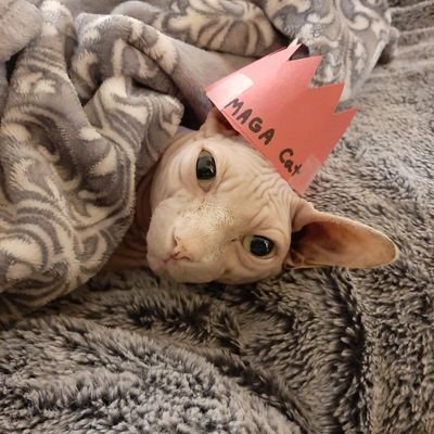 militarymax85's profile picture. im married