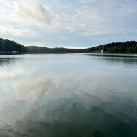 GrowYourOwnHospitality (@gyohospitality) 's Twitter Profile