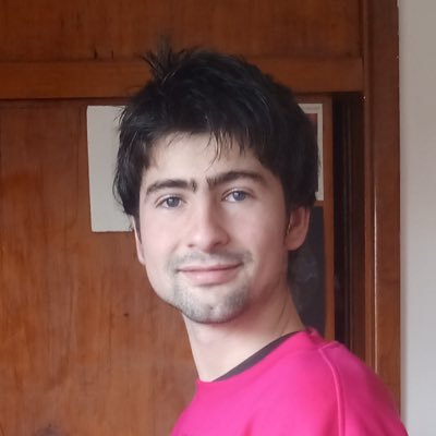 alonso_zamoran0's profile picture. lenguajes de programación  · gamedev · diseño (he/him)
