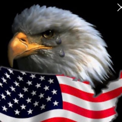 irish2651284's profile picture. Faith and Freedom 🙏🇺🇸 It only takes one candle to pierce the darkness.