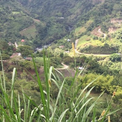 Estudiante de Bacteriología en @UniJaveriana @IDMJIoficial