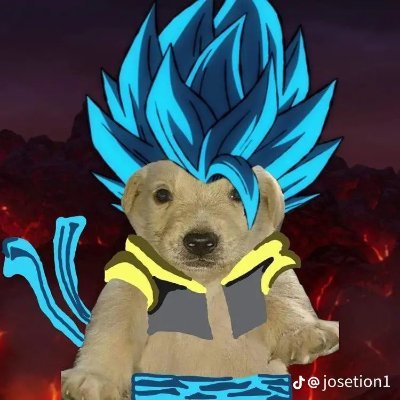 Trying my best in life while also finding my purpose!
I currently play Dragon Ball Dokkan Battle & other games that peak my interests.