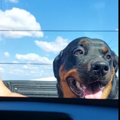 Josephcharls2's profile picture. 