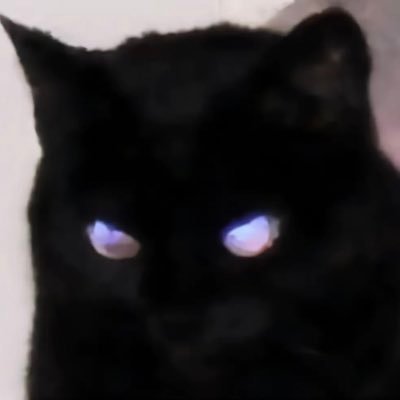 localhost_8188's profile picture. thinking in comfy