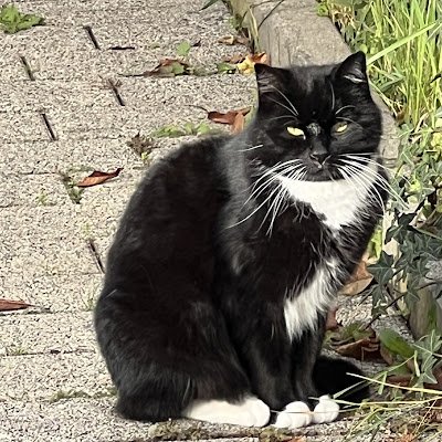 Filmsmissions's profile picture. 