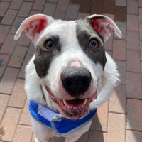 Luna 🌙 (@luna14150) 's Twitter Profile Photo