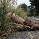 Hadley - @HadleyCarter - Twitter