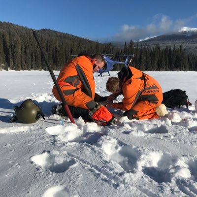 Wildlife Biologist in BC 🏔Large carnivores 🐺🐻 Views my own.
