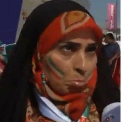 afsorde_irani's profile picture. 