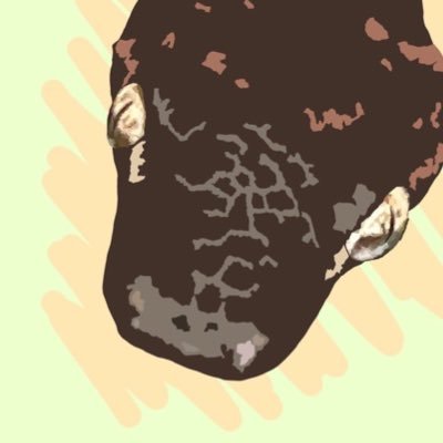 snakemicaera's profile picture. はちゅーるい好きの成長記録。コーンスネークテッセラアネリブラッド・ビブロンボアレッド。どちらものんびりした子です。アイコンはyukimi様から描いていただきました。はちゅと鳥を鑑賞。片道フォロー失礼します。