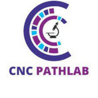 CNC Pathlab(@cnc_pathlab) 's Twitter Profile Photo