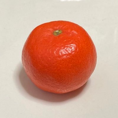 _mikan__juice_'s profile picture. 放尿や潮吹きを見るのが好きです(男女問わず) 💩はNG🙅🏻 自分でもたまにおしっこ動画あげてます 鍵開けたり閉めたり🔑 リプやDMの返信は気まぐれです🙇🏻‍♀️💦 元@Mikann__mgmg の人です