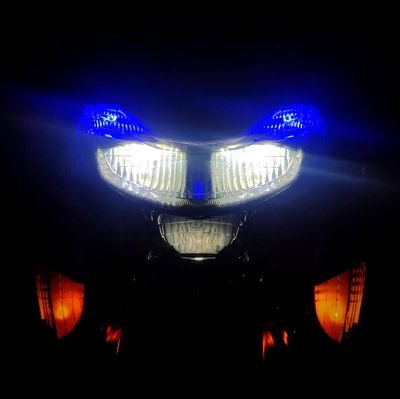 Spongemab's profile picture. 