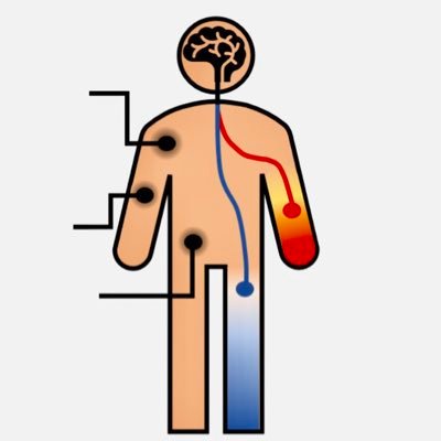 Skin Sensing Research Group