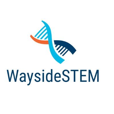 WaysideSTEM is a low cost alternative to tutoring for dedicated students in math and science. Homeschool or traditional, online or in person.