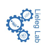 Lieleg Lab (@lieleglab) 's Twitter Profile