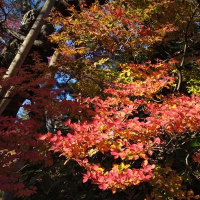 富山県立大学 医薬品工学科 アカペラサークル所属🎤2年