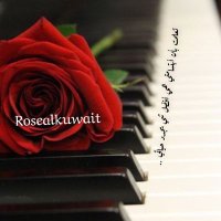 Rosealkuwait ❤ وردة الكويت🇰🇼(@al_m_alf) 's Twitter Profile Photo