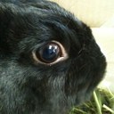 DONGHUN LEE - @replica50 - Twitter