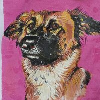 Merydrous (@merydrous) 's Twitter Profile Photo Merydrous (@merydrous) 's Twitter Profile Photo