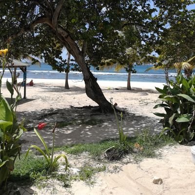 krisjehane's profile picture. 