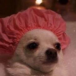 _barbmarleyy's profile picture. 