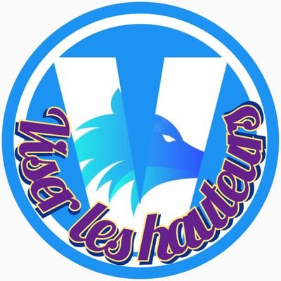 【Viser】Viser Les Hauteursさんのプロフィール画像