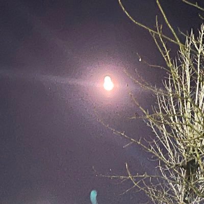 hsk425's profile picture. 