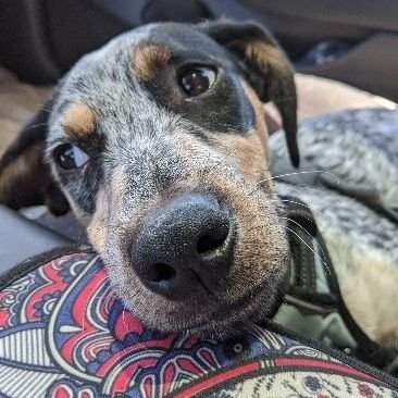 threeputtwilly's profile picture. Everyday is different and it's different everyday. Tout est possible. All one. As far as politics goes...Humankind, be both .. #DOGE