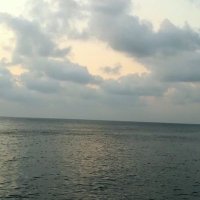Hassan (@hassan99402543) 's Twitter Profile