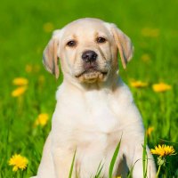 zeng2 (@zeng132) 's Twitter Profile