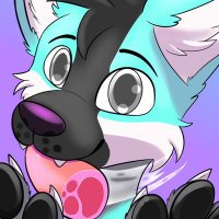 Haru The Blueberry timber wolf! (@haruthewuffo) 's Twitter Profile