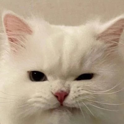 Angni67's profile picture. 사랑은 변하지 않아💓