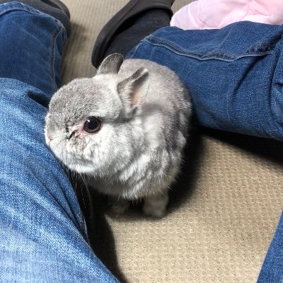 sosviewt's profile picture. ギル推し/こっちのアカウントあんまり使わないです