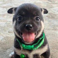 Cc:)🤍🧚🤏🏻😊 (@cakeeeee20) 's Twitter Profile