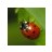 Patchouka67's profile image