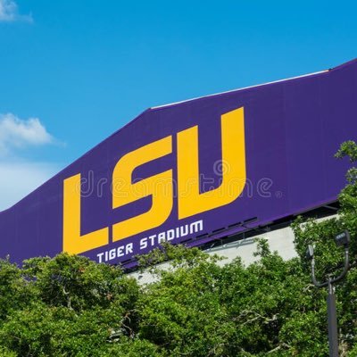 Husband, Father, LSU Graduate, Retired Chemical Engineer, Avid LSU Fan