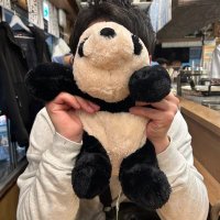 コパンダ🐼 (@kopanda_panpan) 's Twitter Profile