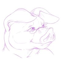 Duroc (@durocpig) 's Twitter Profile