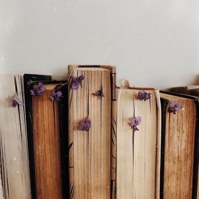 booknotes_book's profile picture. 