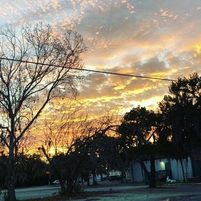 DahmerJ2's profile picture. I’m just following my interests.