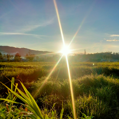 sadrakdegei14's profile picture. 