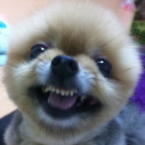 とりまん👨🏿‍🦳