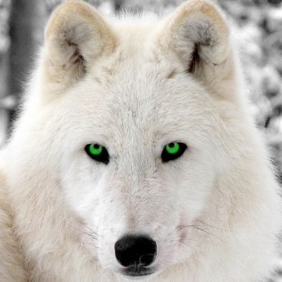 Looking to grow into a gaming streamer
nutritionist/gamer/TV enthusiast
#horde