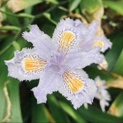 juagols's profile picture. 🧃🫧❤️‍🩹🍄🪸🍂🛰️🛰️